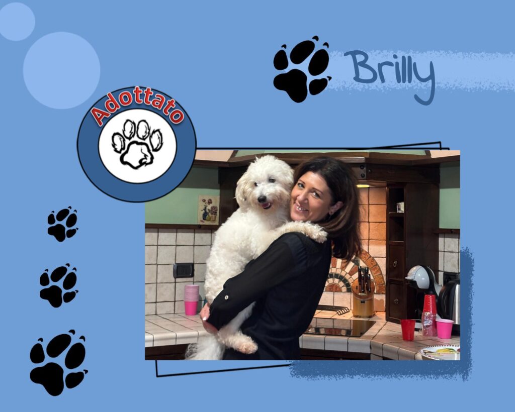 Brilly adottato!