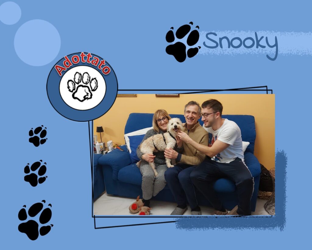 Snooky adottato