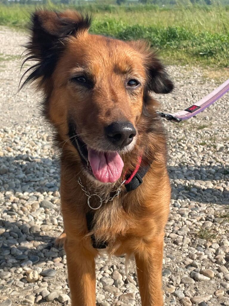 Minnie