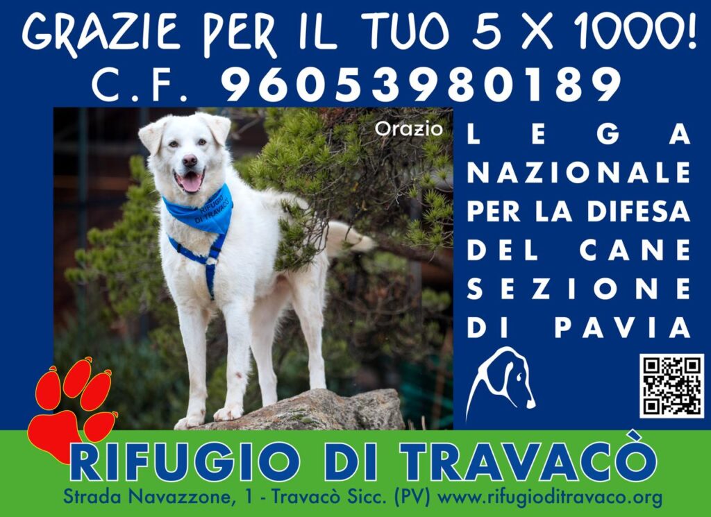 Grazie per il tuo 5x1000 al Rifugio di Travacò