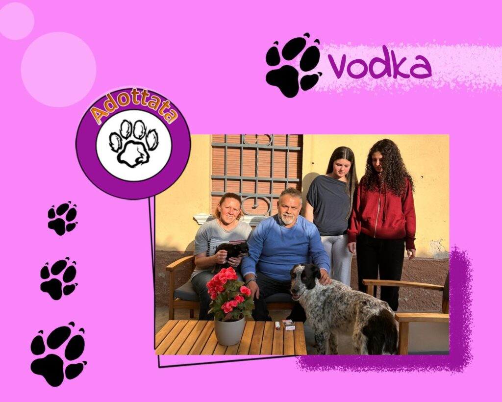 Vodka adottata