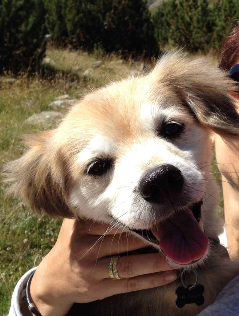 Ruffy