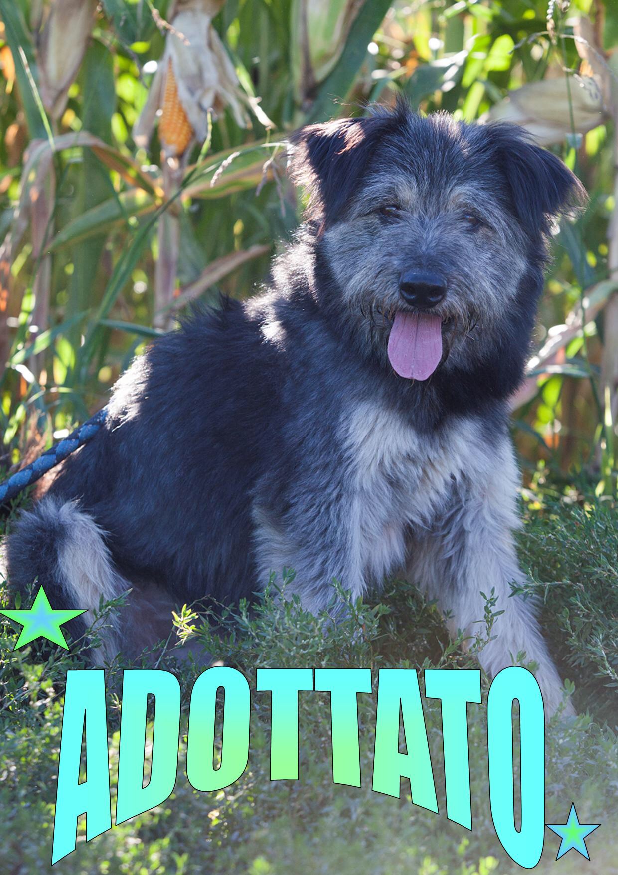 Argo