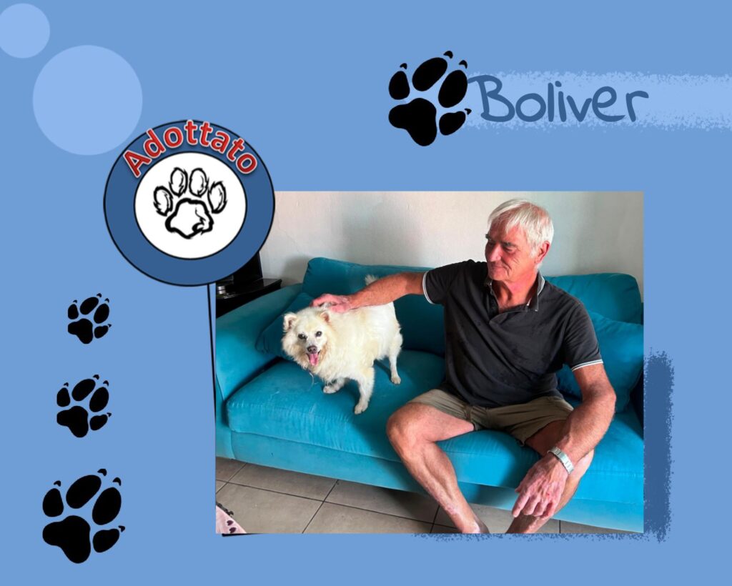 Boliver adottato