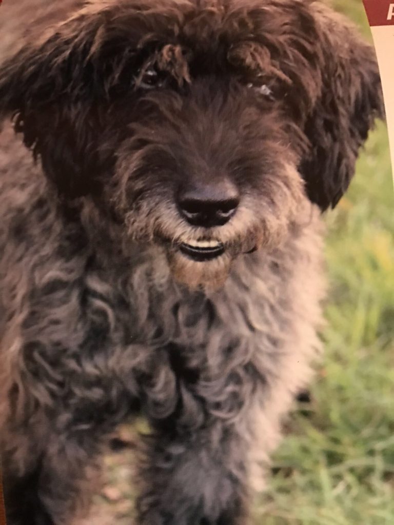 Rudy