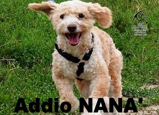 Nana’