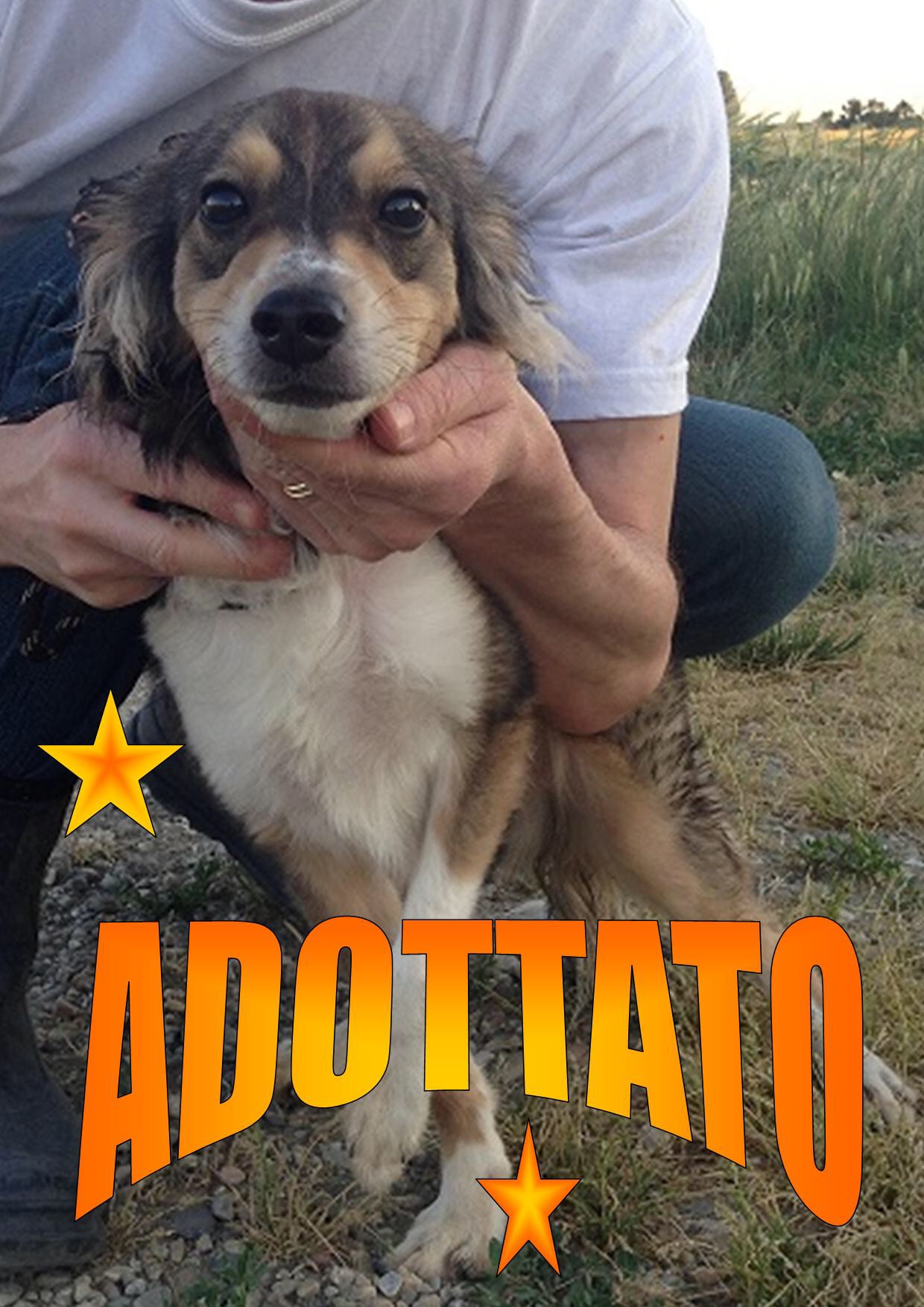 Paquito