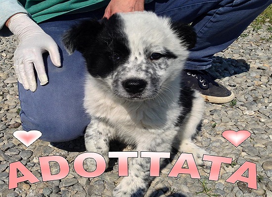 Zoe