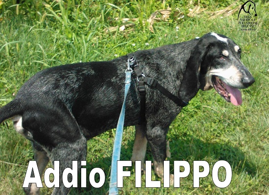 Filippo