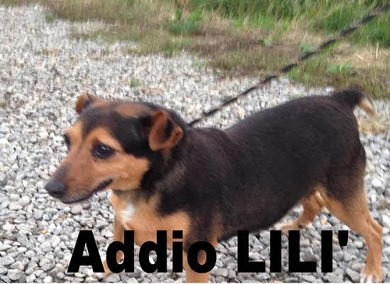 Lili’
