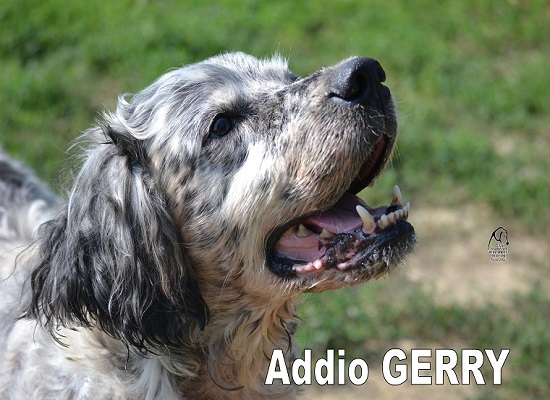 Gerry