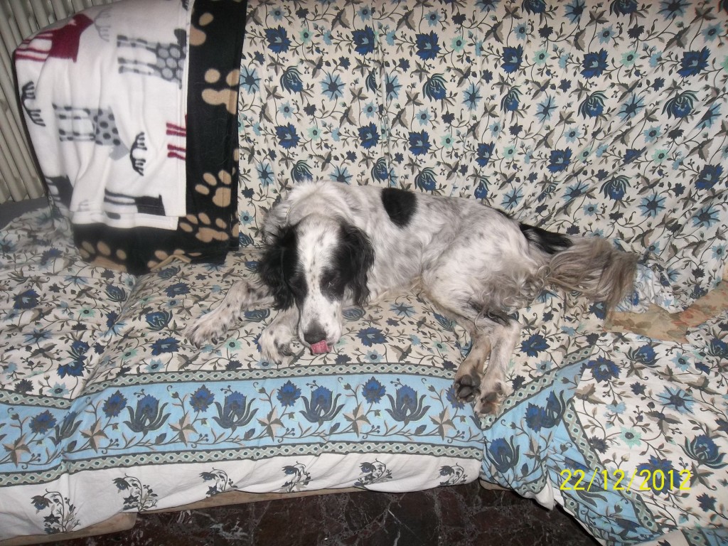 Beppe