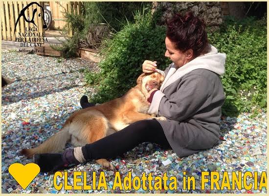 Clelià