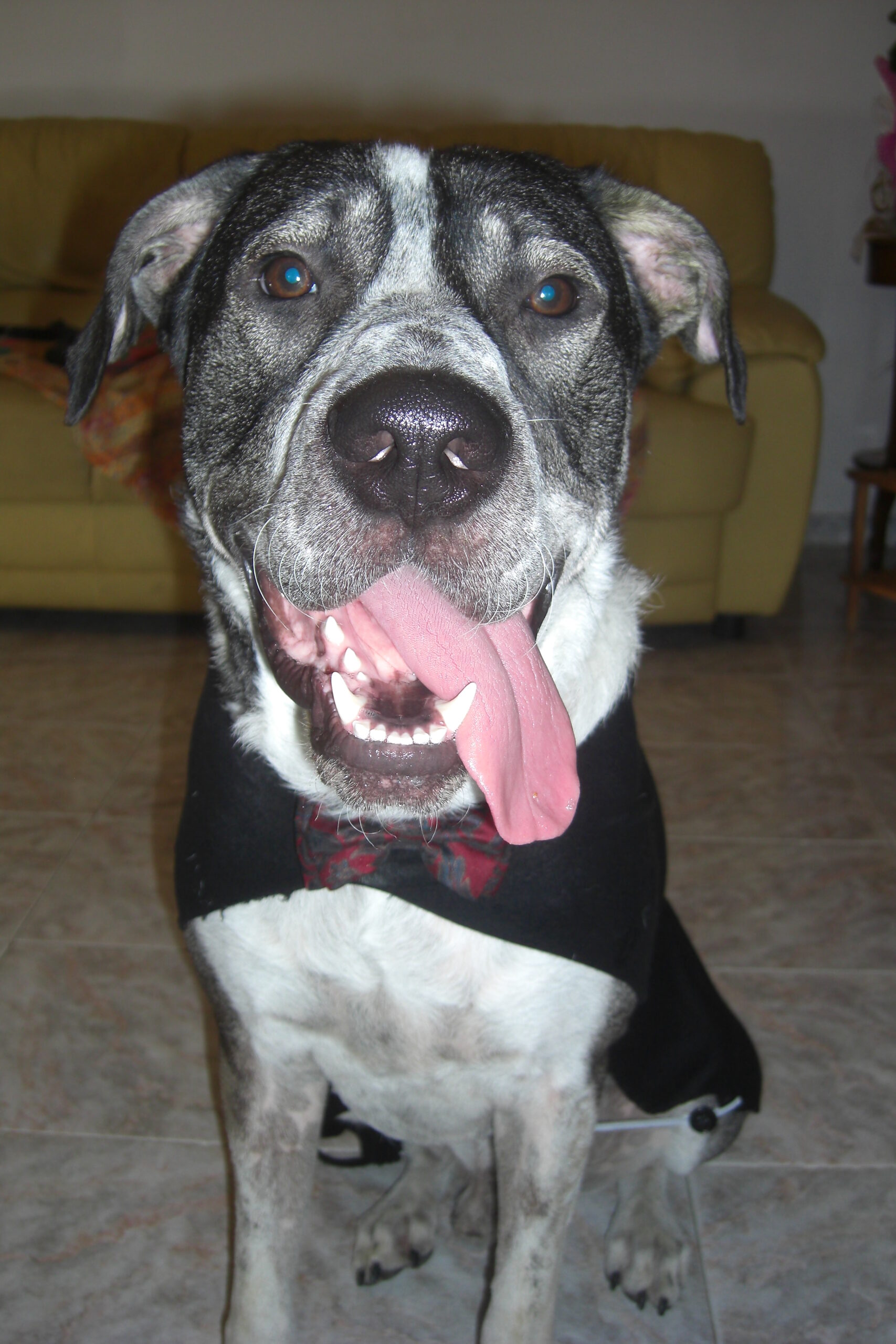 Henry
