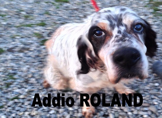 Roland