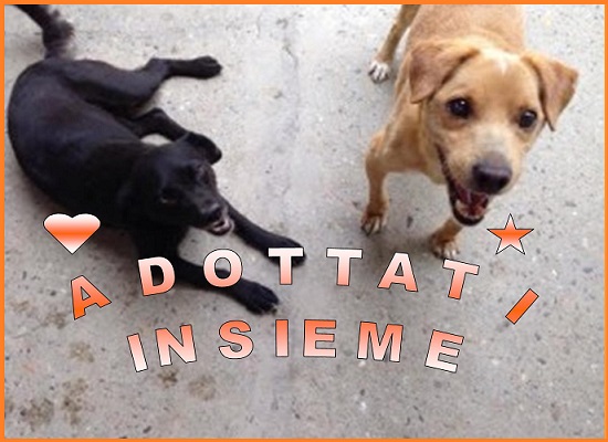 Missy e Kevin