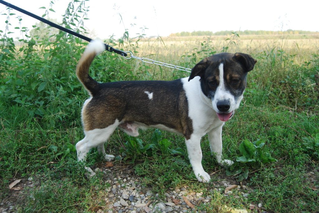 Rudy-Jack