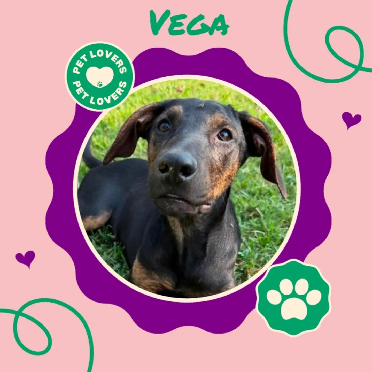 Benvenuta Vega